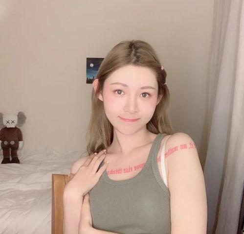 网红黑料一手资料大全,一手资料大全深度剖析